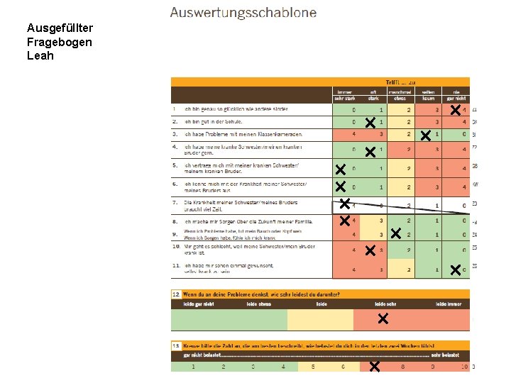 Ausgefüllter Fragebogen Leah 