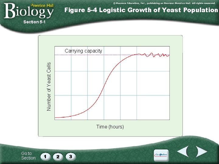 Figure 5 -4 Logistic Growth of Yeast Population Section 5 -1 Number of Yeast