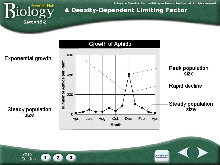 A Density-Dependent Limiting Factor Section 5 -2 Growth of Aphids Exponential growth Peak population