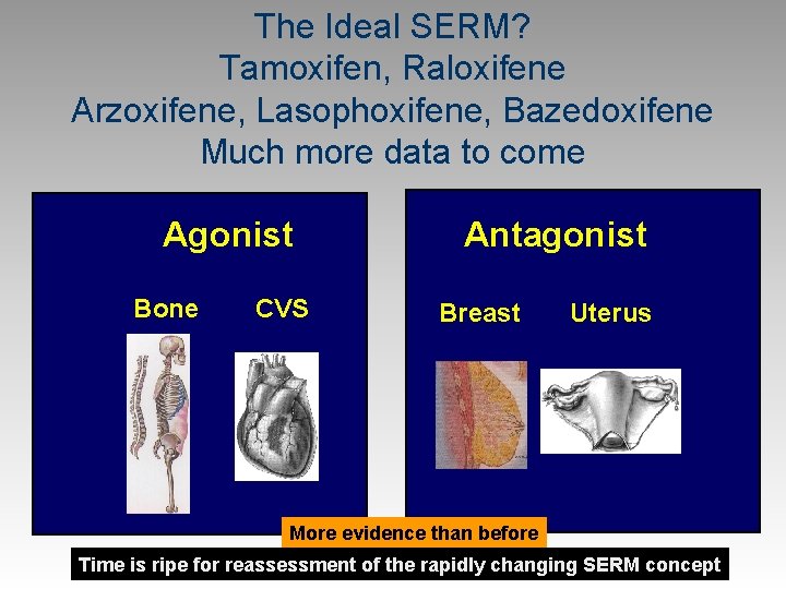 The Ideal SERM? Tamoxifen, Raloxifene Arzoxifene, Lasophoxifene, Bazedoxifene Much more data to come Agonist