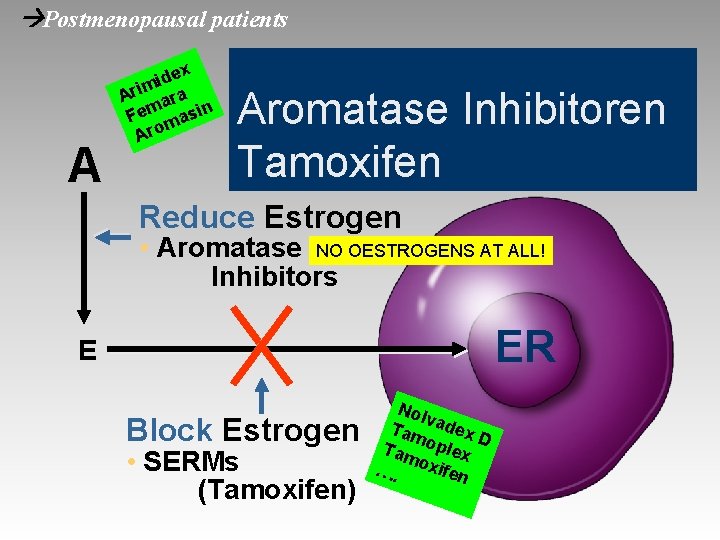  Postmenopausal patients A ex d i m Ari ara Fem masin Aromatase Inhibitoren