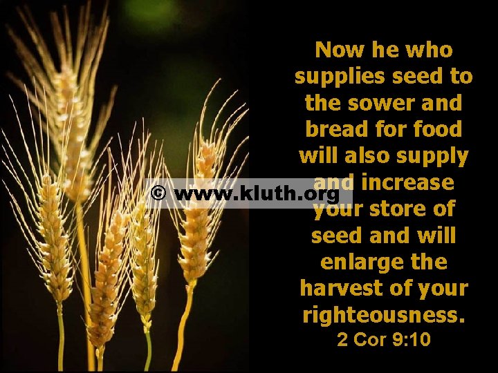 Now he who supplies seed to the sower and bread for food will also