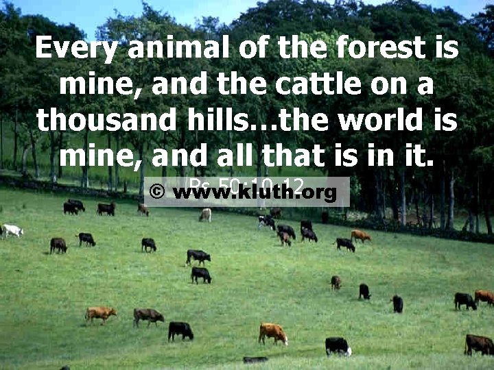 Every animal of the forest is mine, and the cattle on a thousand hills…the