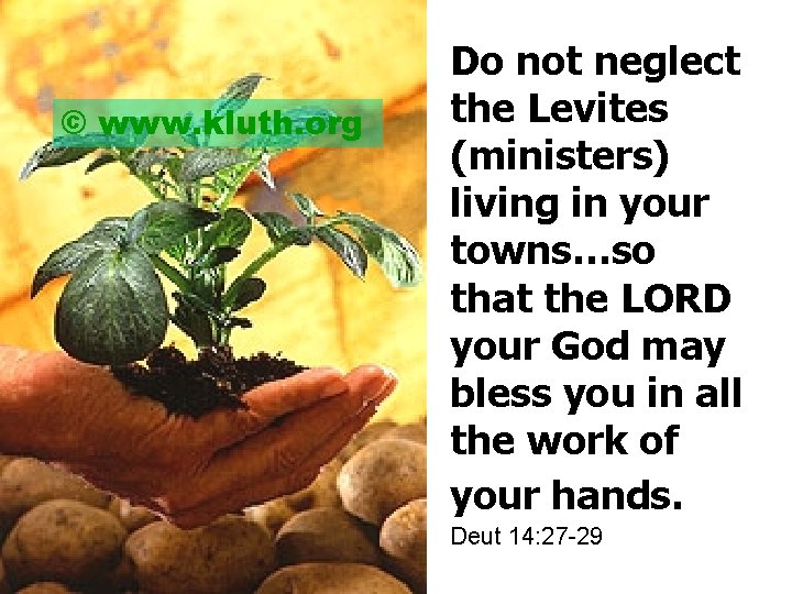 © www. kluth. org Do not neglect the Levites (ministers) living in your towns…so