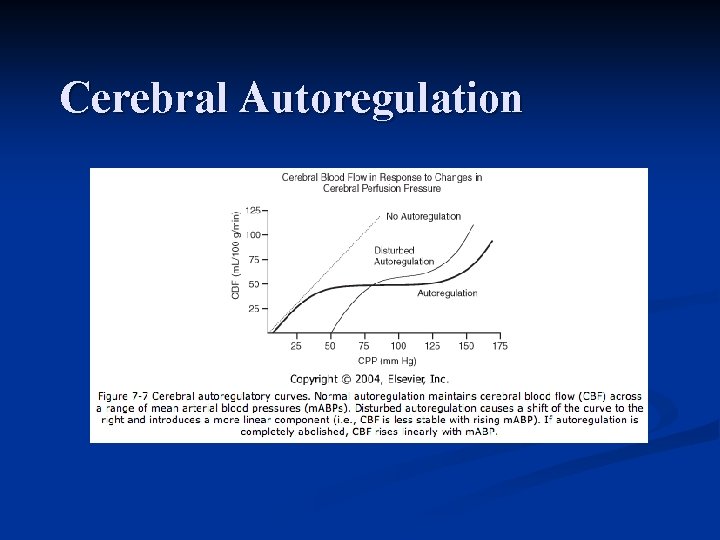 Cerebral Autoregulation 