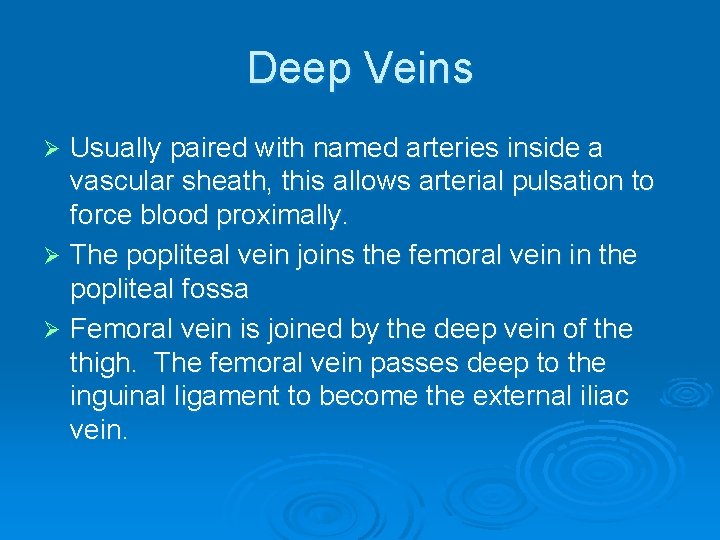 Deep Veins Usually paired with named arteries inside a vascular sheath, this allows arterial