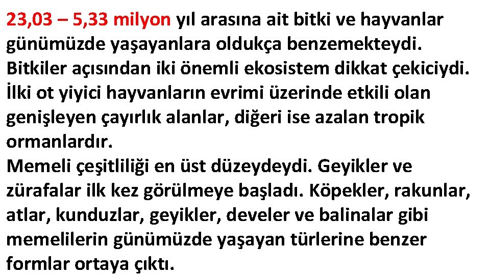 23, 03 – 5, 33 milyon yıl arasına ait bitki ve hayvanlar günümüzde yaşayanlara