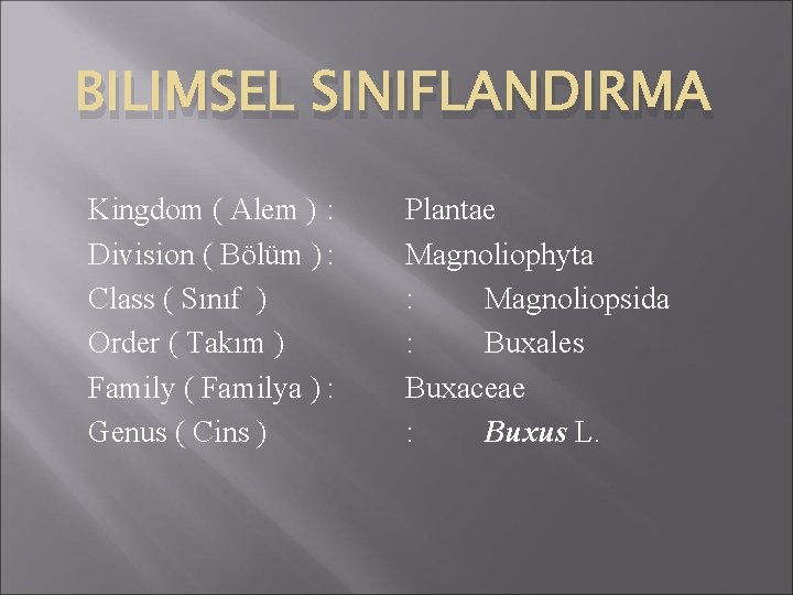 BILIMSEL SINIFLANDIRMA Kingdom ( Alem ) : Division ( Bölüm ) : Class (