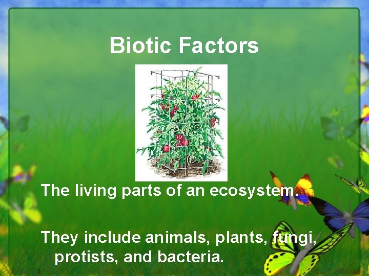 Biotic Factors The living parts of an ecosystem. They include animals, plants, fungi, protists,