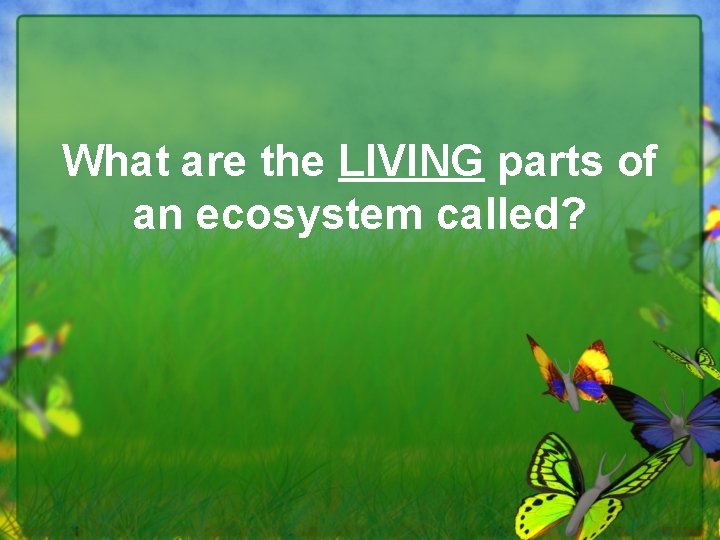 What are the LIVING parts of an ecosystem called? 