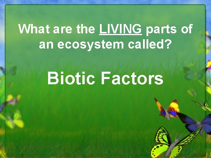 What are the LIVING parts of an ecosystem called? Biotic Factors 