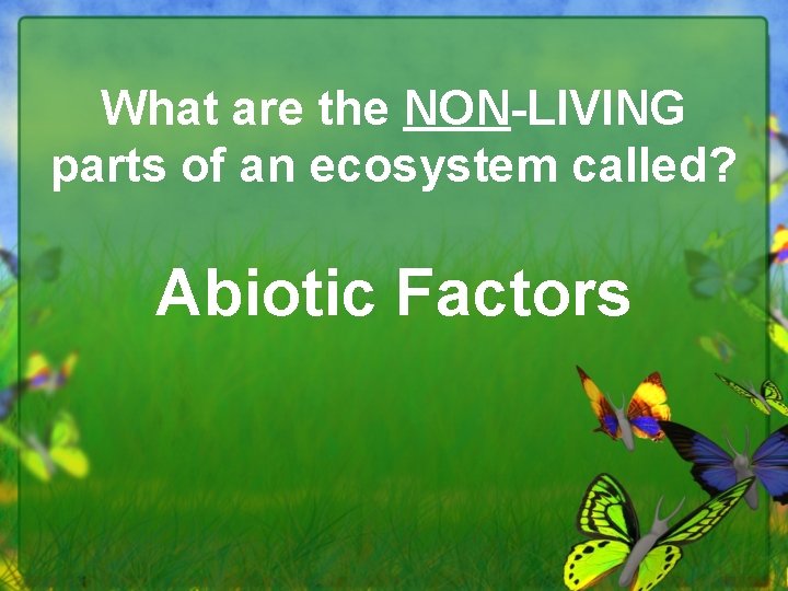 What are the NON-LIVING parts of an ecosystem called? Abiotic Factors 