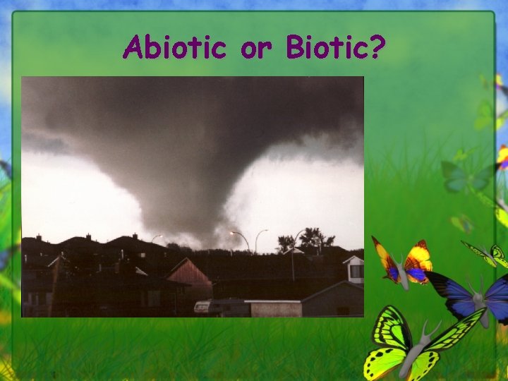 Abiotic or Biotic? 