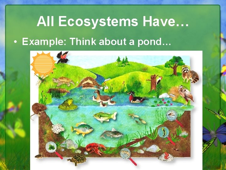 All Ecosystems Have… • Example: Think about a pond… 