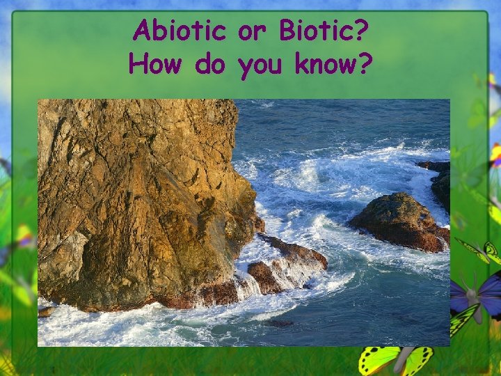 Abiotic or Biotic? How do you know? 