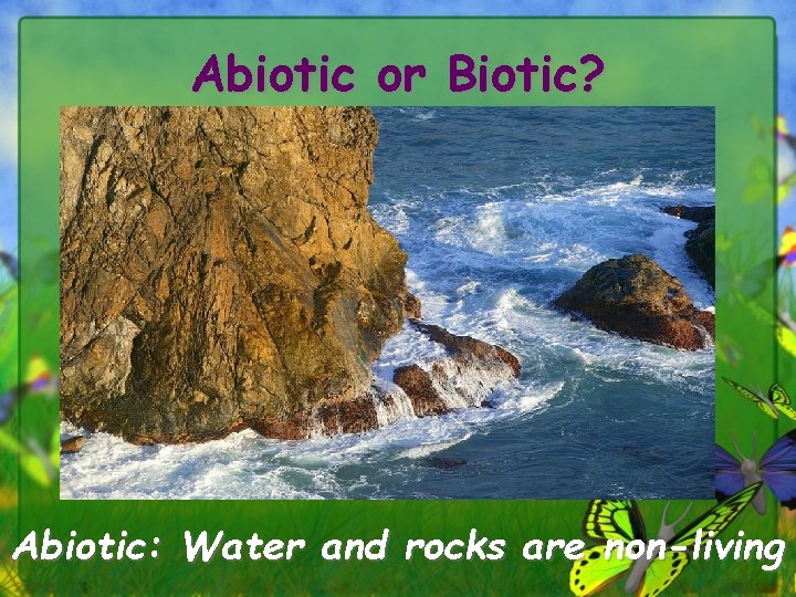 Abiotic or Biotic? Abiotic: Water and rocks are non-living 