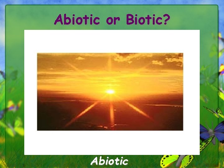 Abiotic or Biotic? Abiotic 