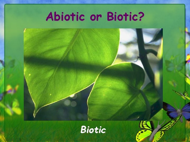 Abiotic or Biotic? Biotic 