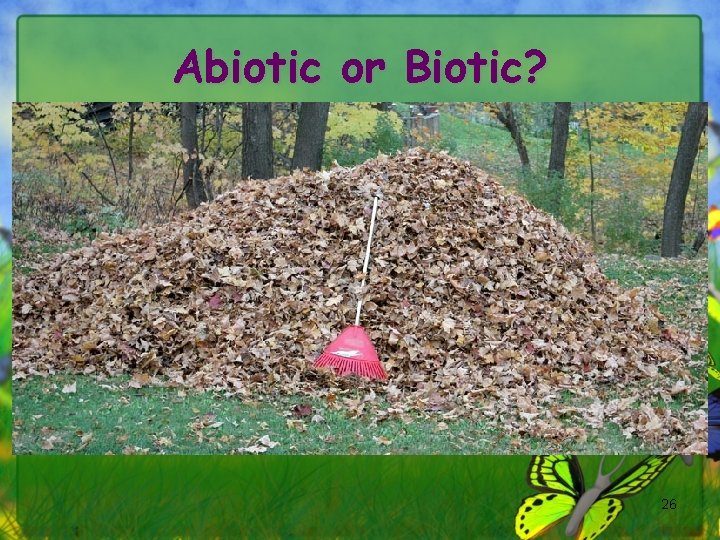 Abiotic or Biotic? 26 