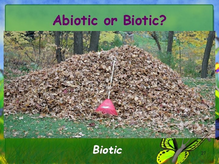Abiotic or Biotic? Biotic 27 