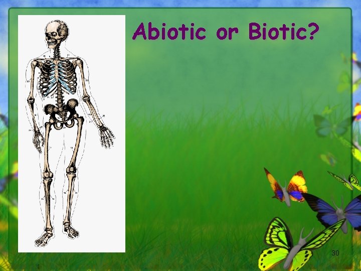 Abiotic or Biotic? 30 