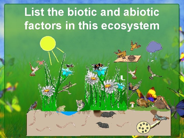 List the biotic and abiotic factors in this ecosystem 