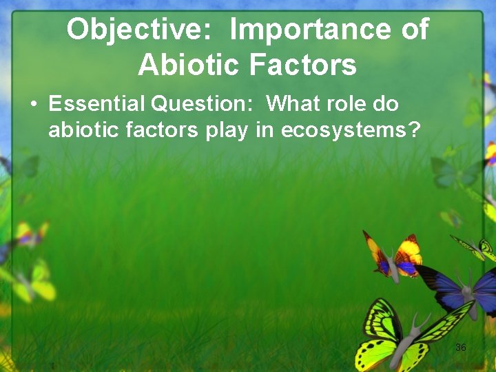 Objective: Importance of Abiotic Factors • Essential Question: What role do abiotic factors play