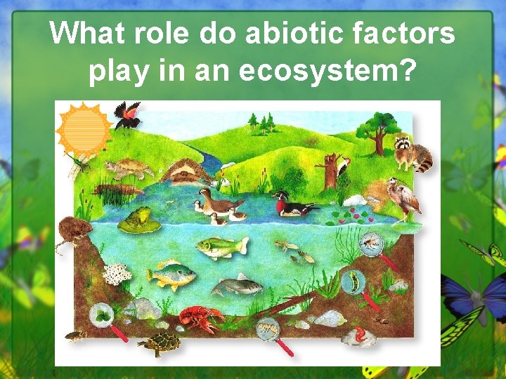 What role do abiotic factors play in an ecosystem? 