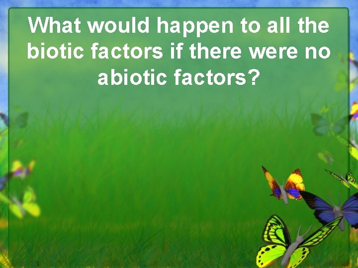 What would happen to all the biotic factors if there were no abiotic factors?