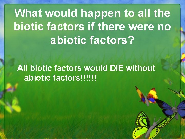 What would happen to all the biotic factors if there were no abiotic factors?