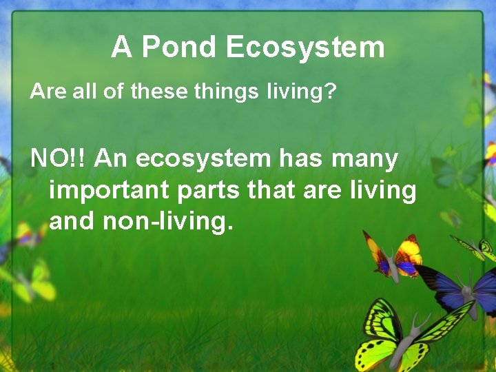 A Pond Ecosystem Are all of these things living? NO!! An ecosystem has many