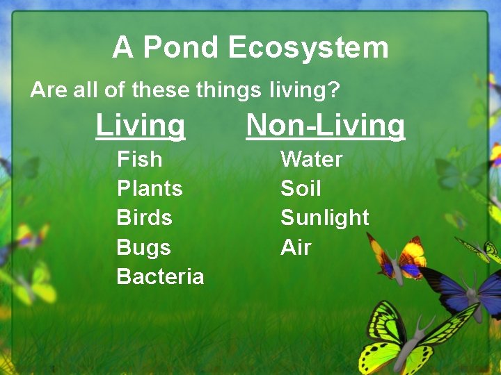 A Pond Ecosystem Are all of these things living? Living Non-Living Fish Water Plants