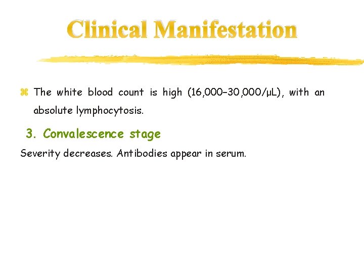 Clinical Manifestation z The white blood count is high (16, 000– 30, 000/μL), with