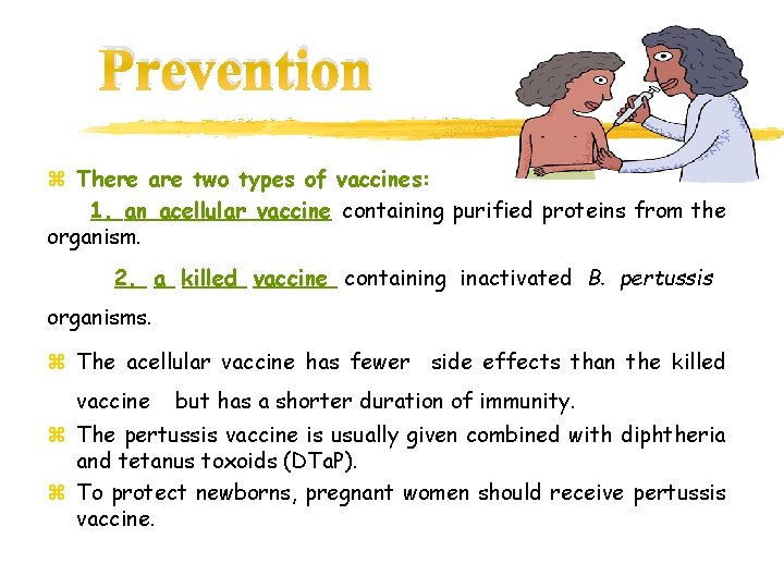 Prevention z There are two types of vaccines: 1. an acellular vaccine containing purified