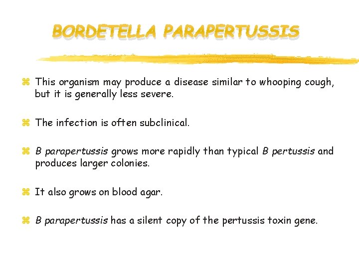 BORDETELLA PARAPERTUSSIS z This organism may produce a disease similar to whooping cough, but