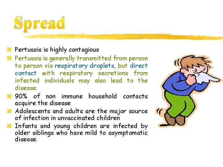 Spread z Pertussis is highly contagious z Pertussis is generally transmitted from person to