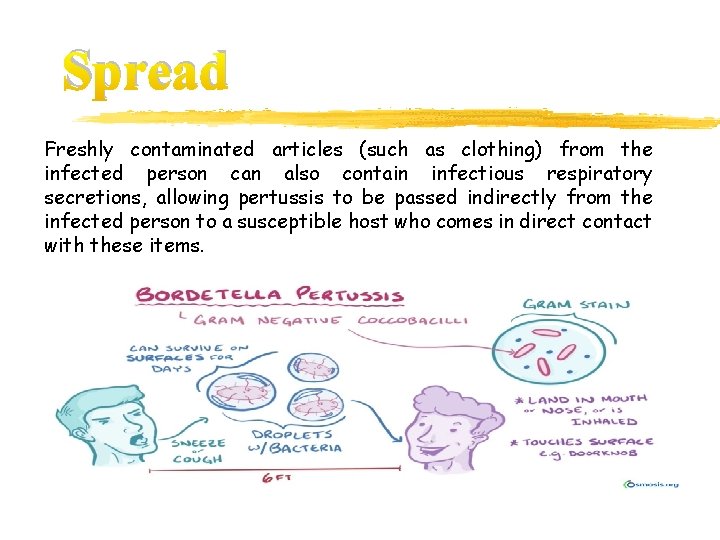 Spread Freshly contaminated articles (such as clothing) from the infected person can also contain