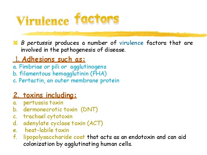 Virulence factors z B pertussis produces a number of virulence factors that are involved
