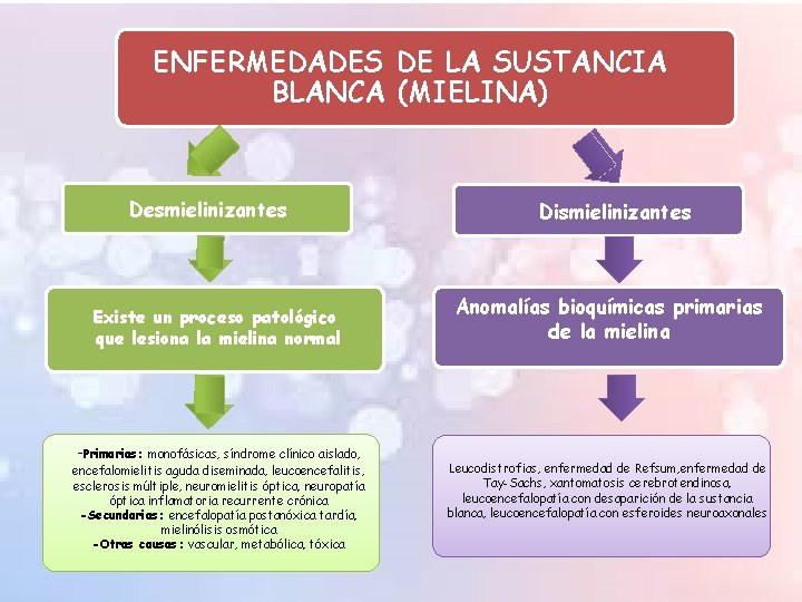 ENFERMEDADES DE LA SUSTANCIA BLANCA (MIELINA) Desmielinizantes Existe un proceso patológico que lesiona la