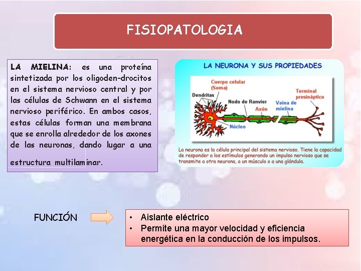 FISIOPATOLOGIA LA MIELINA: es una proteína sintetizada por los oligoden-drocitos en el sistema nervioso