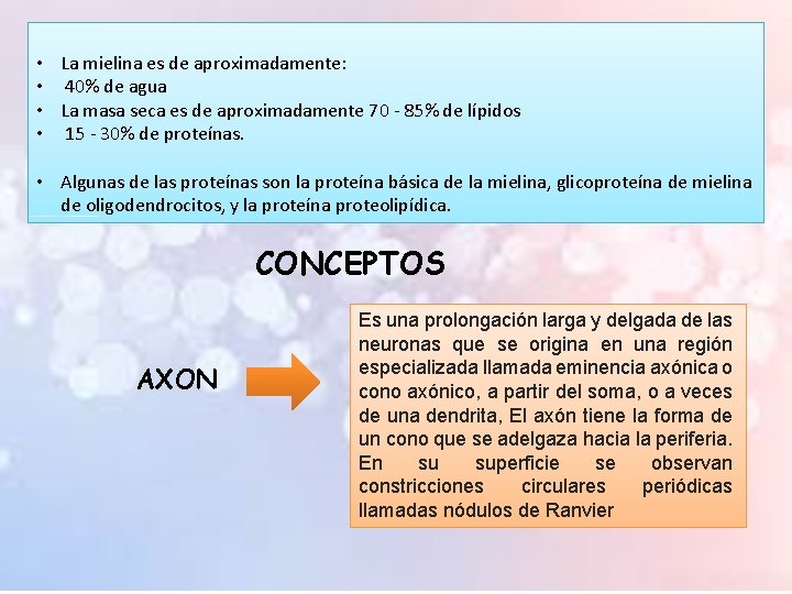  • • La mielina es de aproximadamente: 40% de agua La masa seca