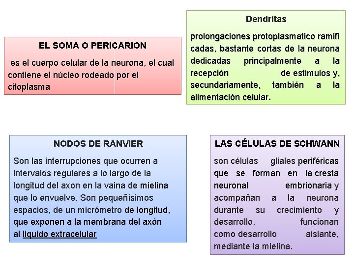 Dendritas EL SOMA O PERICARION es el cuerpo celular de la neurona, el cual