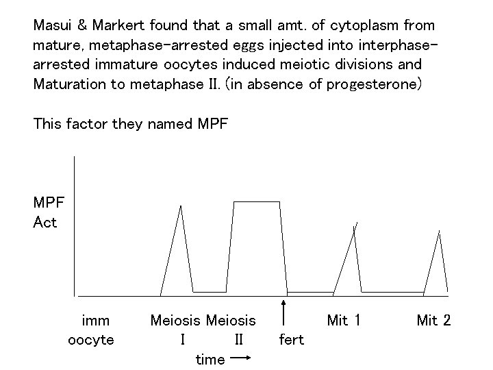 Masui & Markert found that a small amt. of cytoplasm from mature, metaphase-arrested eggs