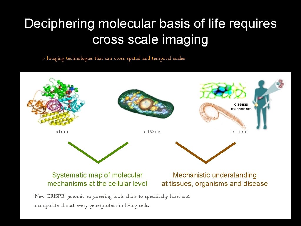 Deciphering molecular basis of life requires cross scale imaging > Imaging technologies that can