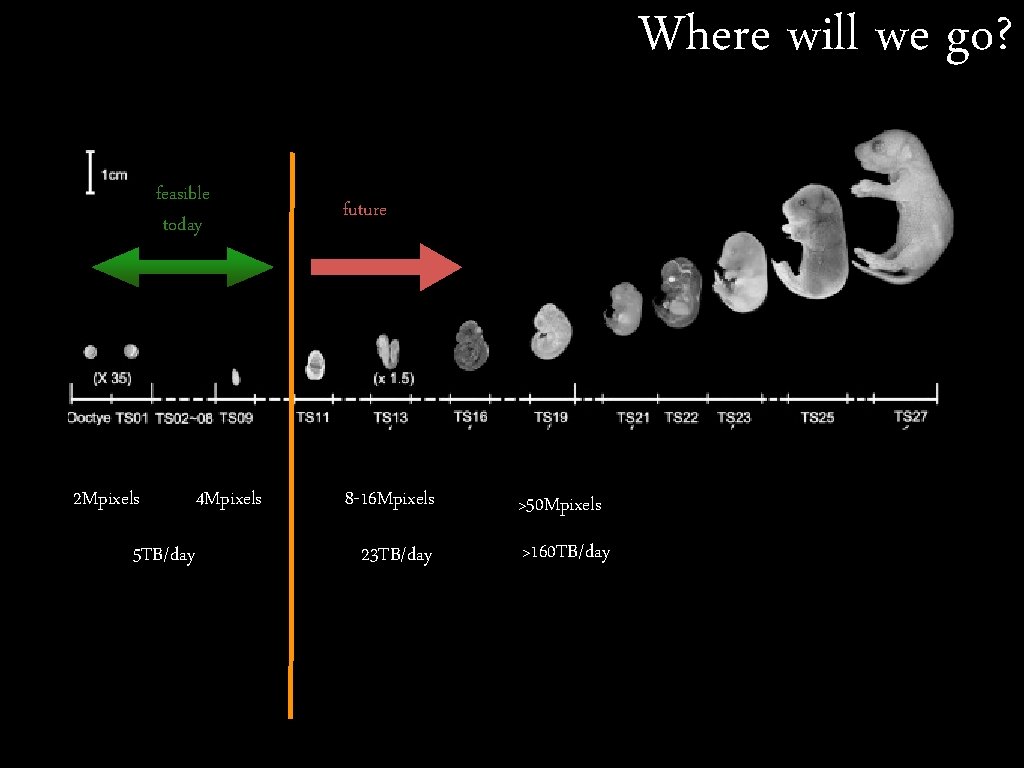 Where will we go? feasible today 2 Mpixels 5 TB/day 4 Mpixels future 8