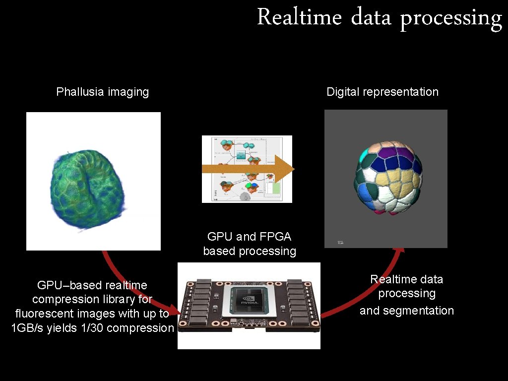 Realtime data processing Phallusia imaging Digital representation GPU and FPGA based processing GPU–based realtime