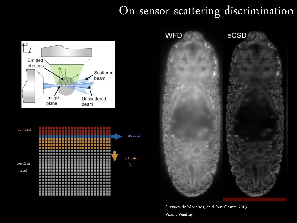 On sensor scattering discrimination dumped constant reset readout activation front Gustavo de Medeiros, et