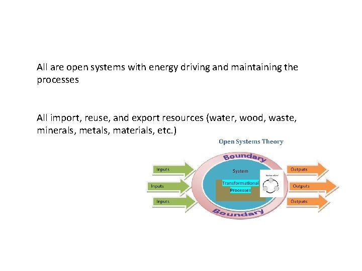 All are open systems with energy driving and maintaining the processes All import, reuse,