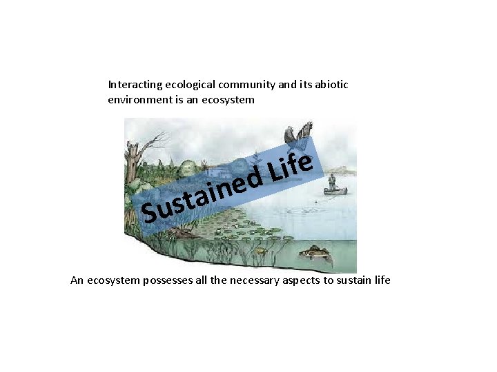 Interacting ecological community and its abiotic environment is an ecosystem e f i L