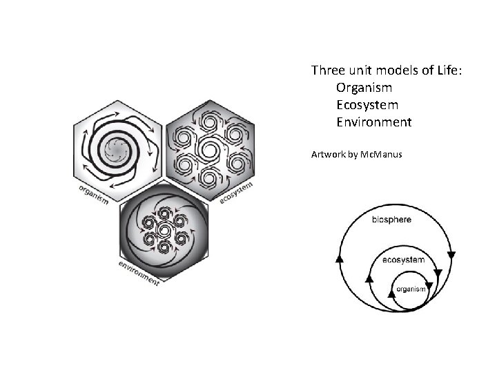 Three unit models of Life: Organism Ecosystem Environment Artwork by Mc. Manus 